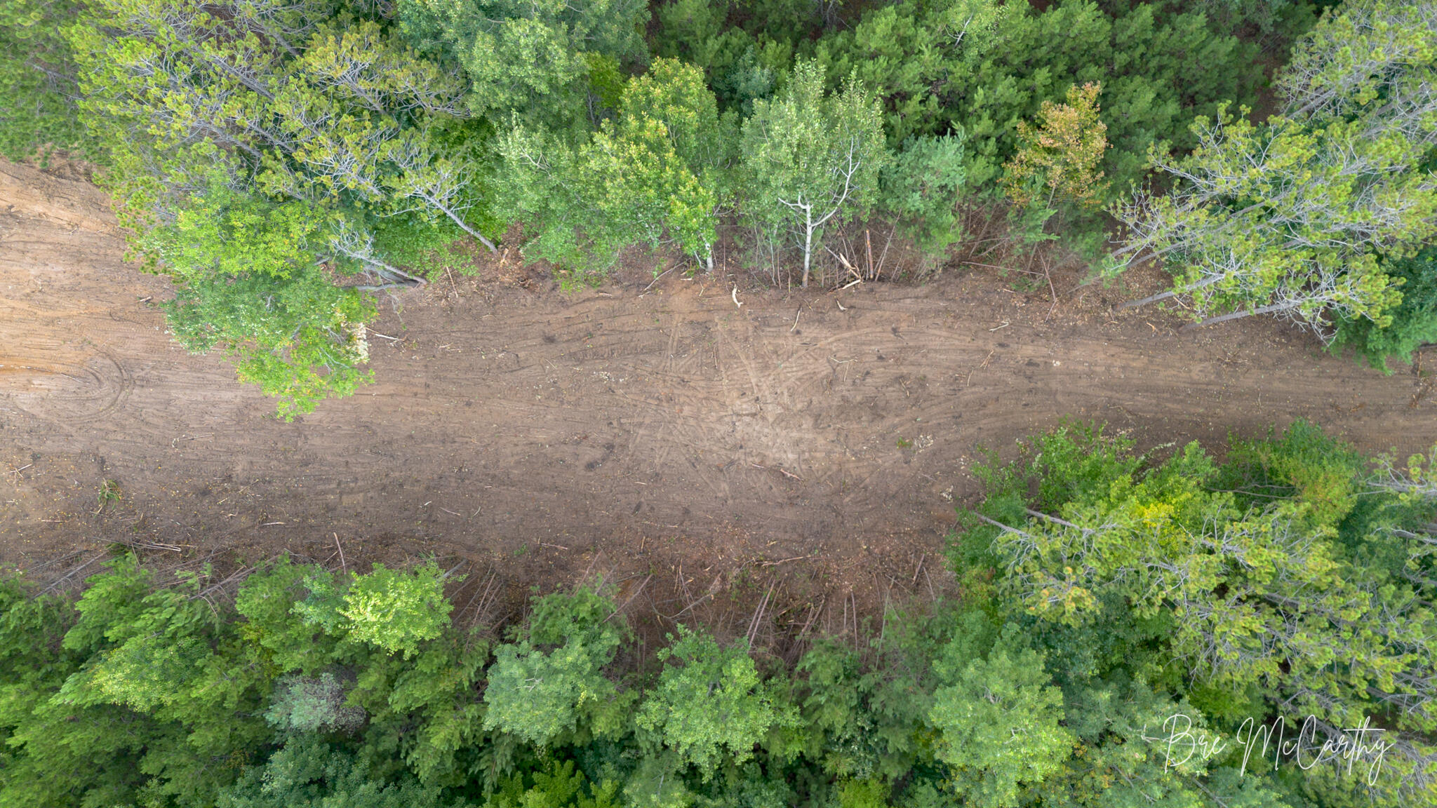 6642 Spruce Ridge Road, Unit 6 Bear Lake, MI 49614 - Photo 13 of 30 Aerial