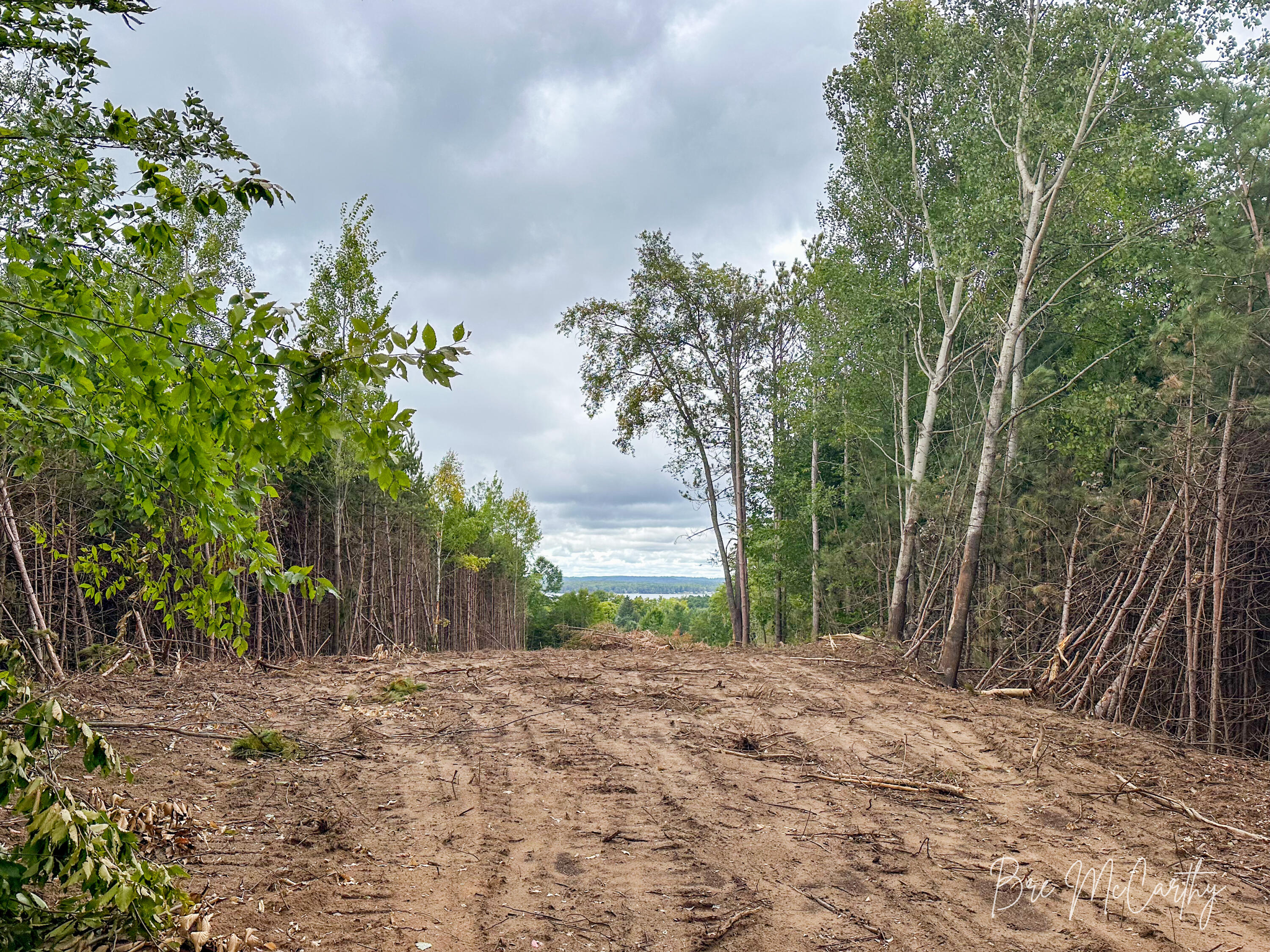 6642 Spruce Ridge Road, Unit 6 Bear Lake, MI 49614 - Photo 22 of 30 View of Bear Lake From Build Site