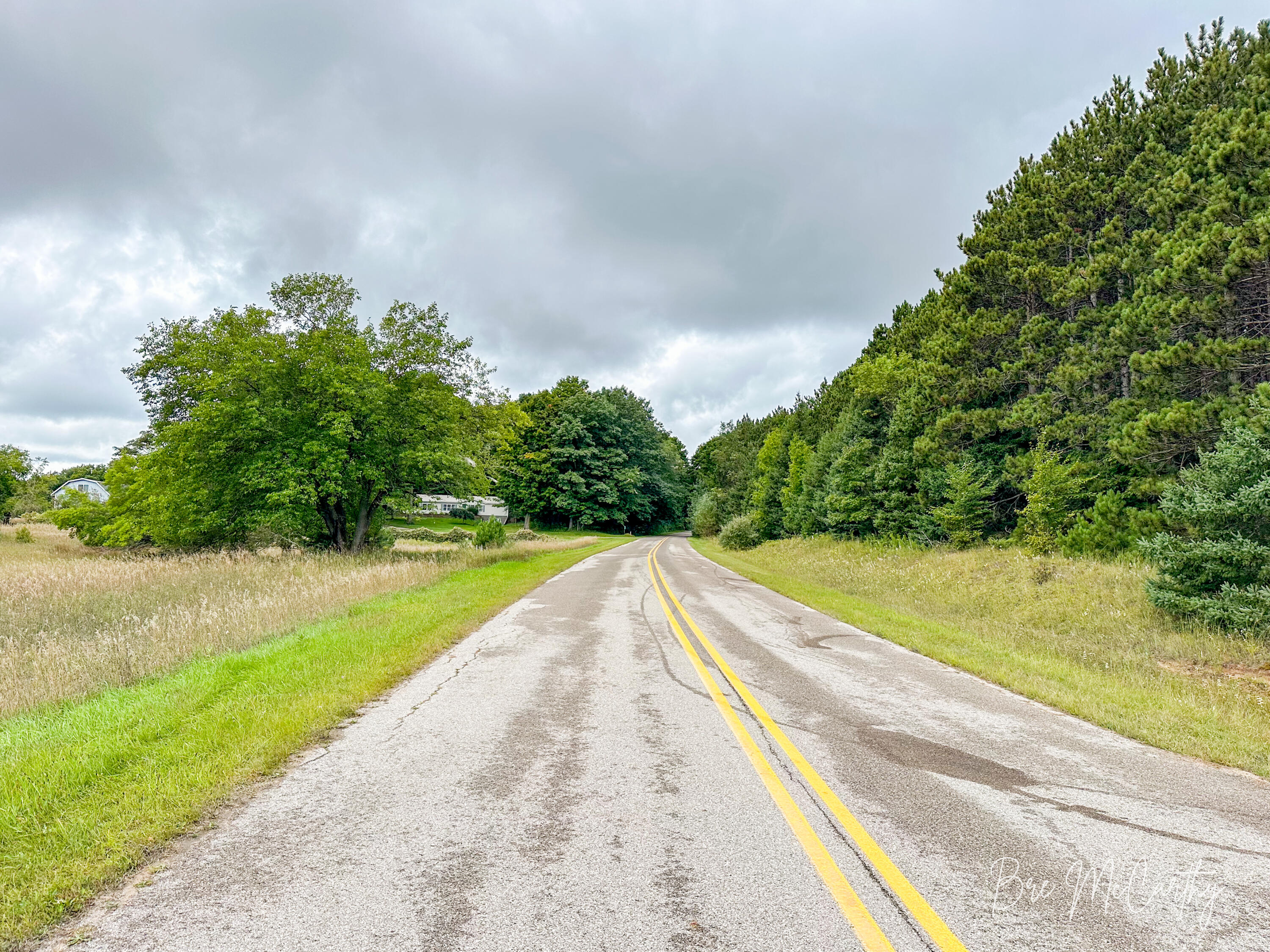 6642 Spruce Ridge Road, Unit 6 Bear Lake, MI 49614 - Photo 24 of 30 Standing by Driveway Looking West