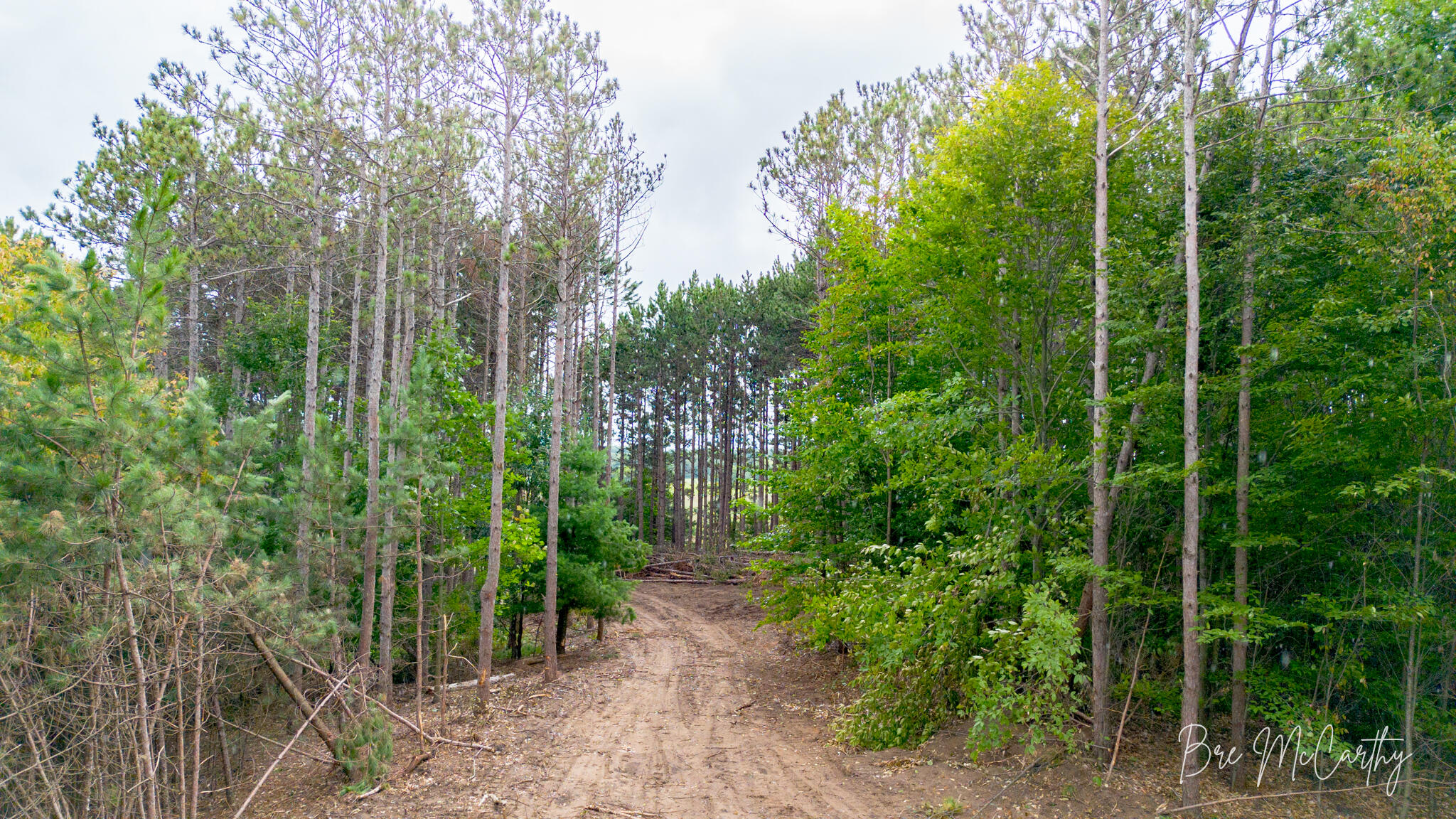 6642 Spruce Ridge Road, Unit 6 Bear Lake, MI 49614 - Photo 5 of 30 Driveway