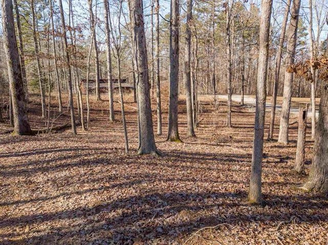 0 Cr 378 Road Iuka, MS 38852 - Photo 10 of 13 Photo 10