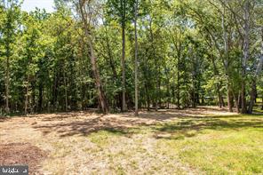 6980 Hopkins Neck Road Easton, MD 21601 - Photo 12 of 32 Woods behind house
