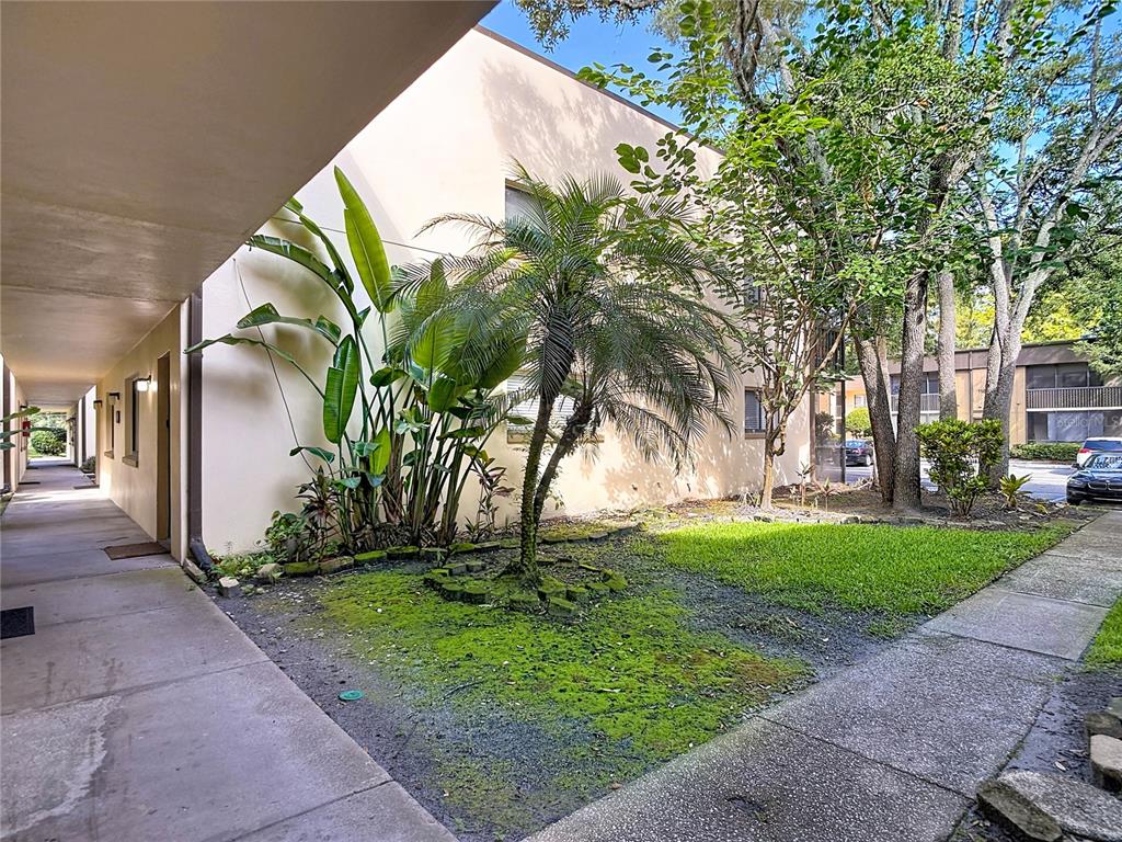 11805 Raintree Lake Lane, Unit B Temple Terrace, FL 33617 - Photo 3 of 35