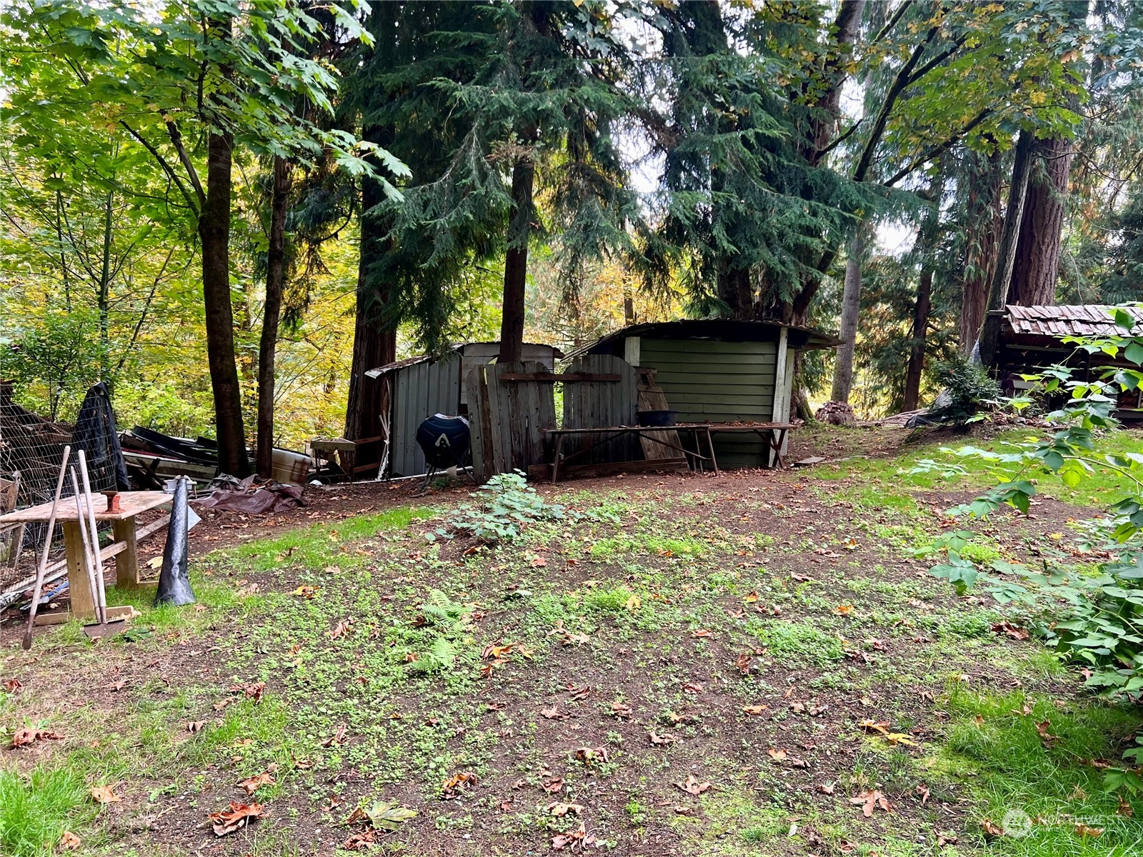 13469 Forsman Road Southeast Olalla, WA 98359 - Photo 15 of 26 Gallery Image 15