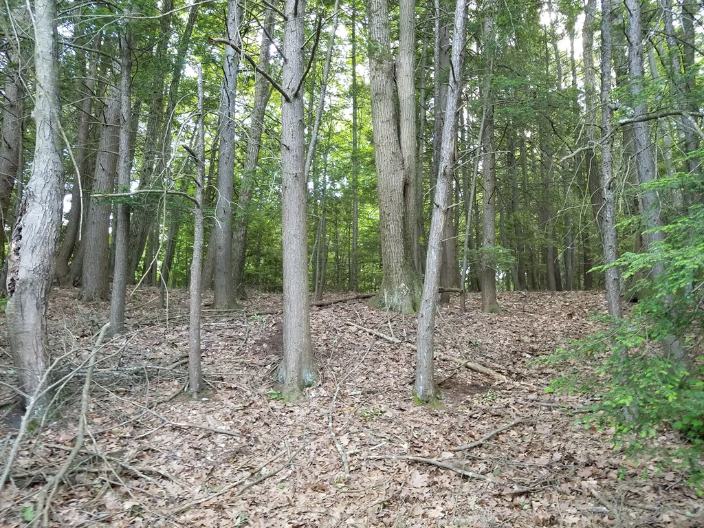 Lot 149 Southbridge Road Dudley, MA 01571 - Photo 8 of 11 Gallery Image 8