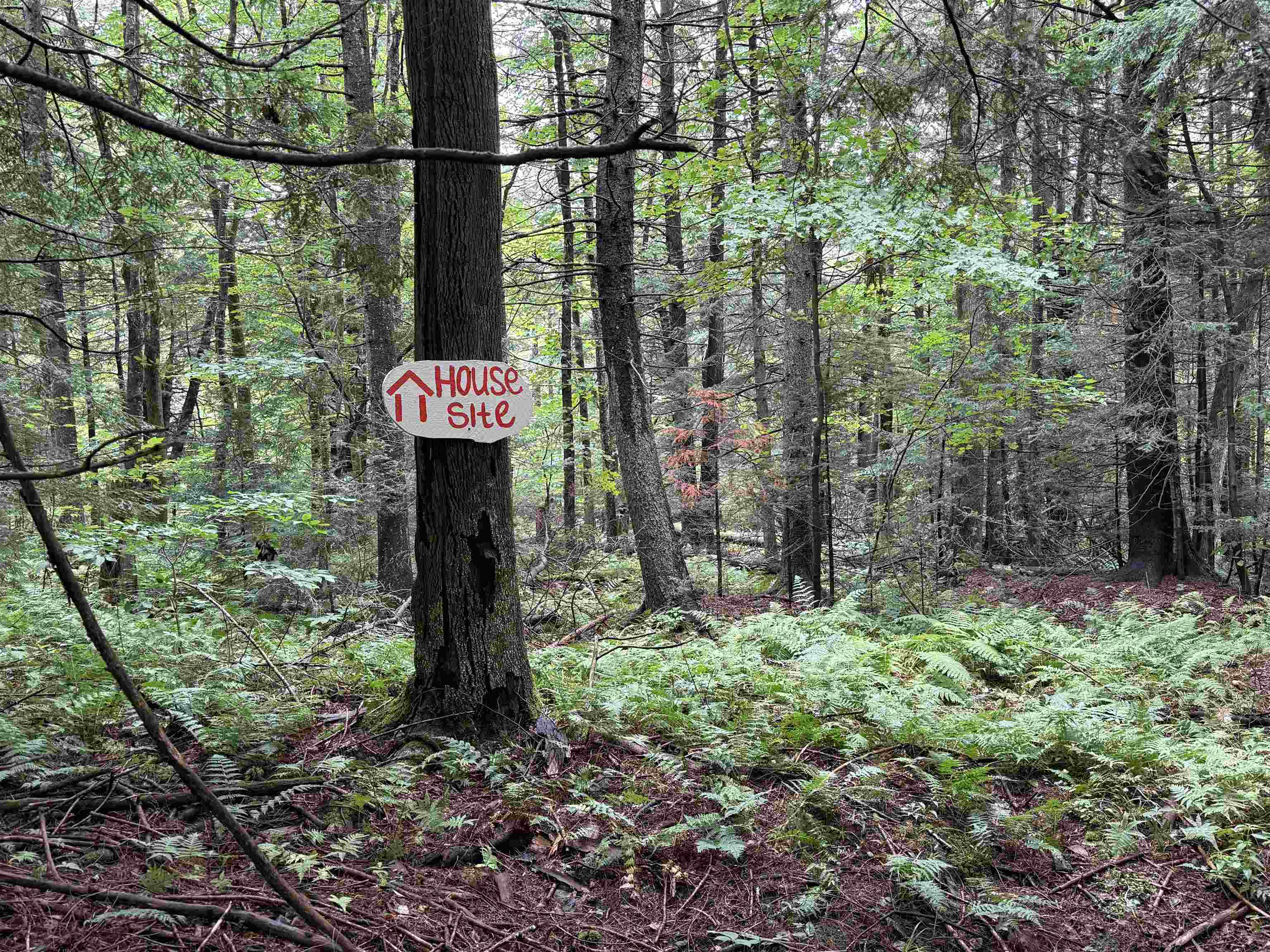 Woods Road Warren, VT 05674 - Photo 16 of 17 Gallery Image 16