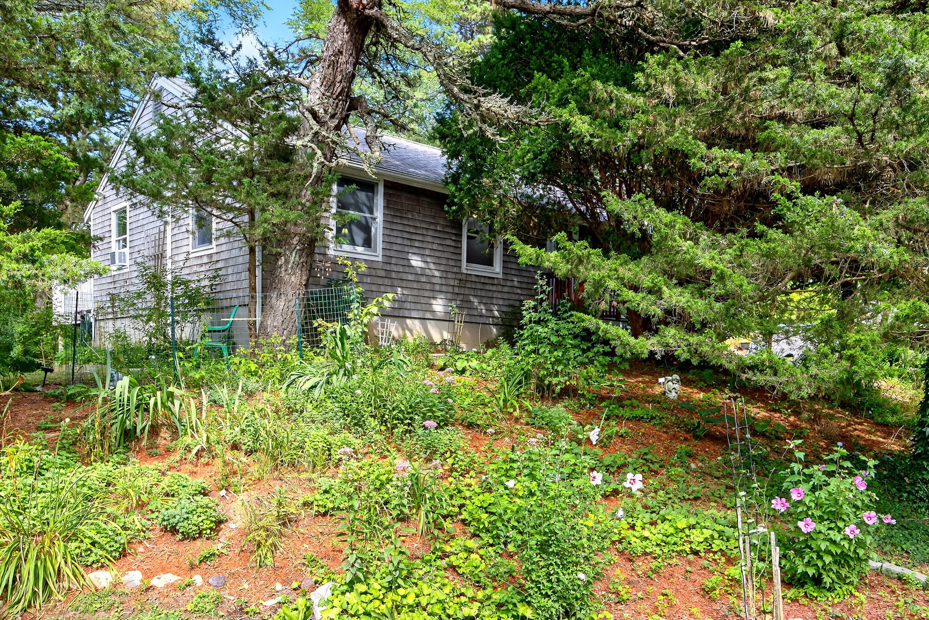11 Whelpley Road Eastham, MA 02642 - Photo 18 of 37 a backyard of a house with lots of green space