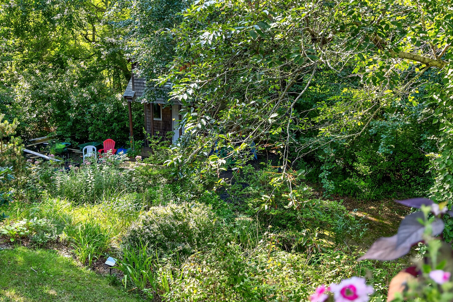 11 Whelpley Road Eastham, MA 02642 - Photo 24 of 37 a plant view