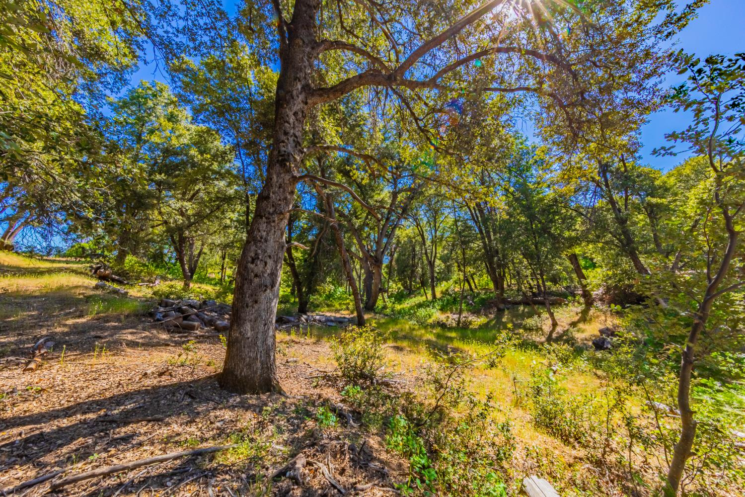 5 3 Springs Road Oakhurst, CA 93644 - Photo 5 of 22