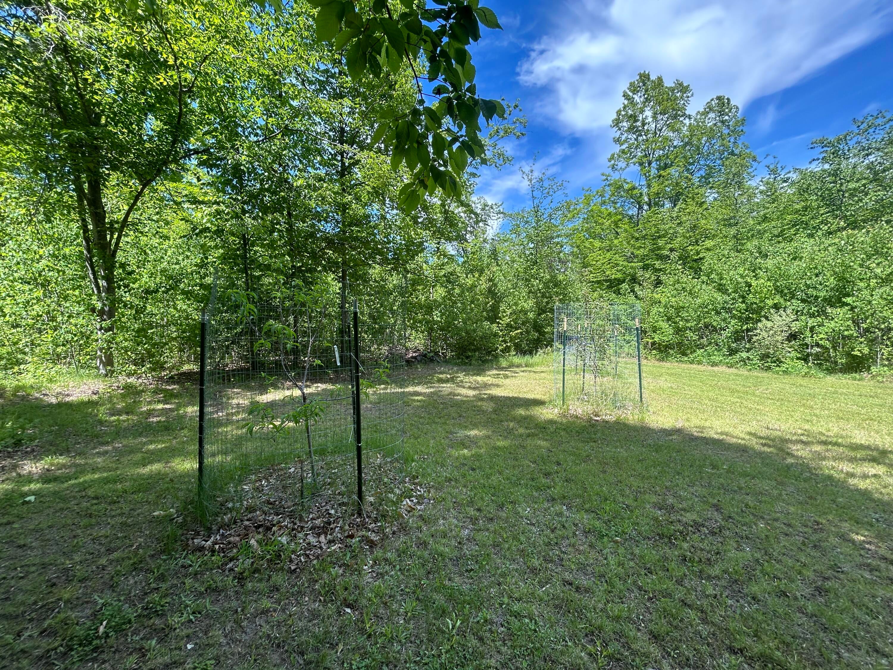 1510 Rogers Road Fairview, MI 48621 - Photo 45 of 61 Gallery Image 45
