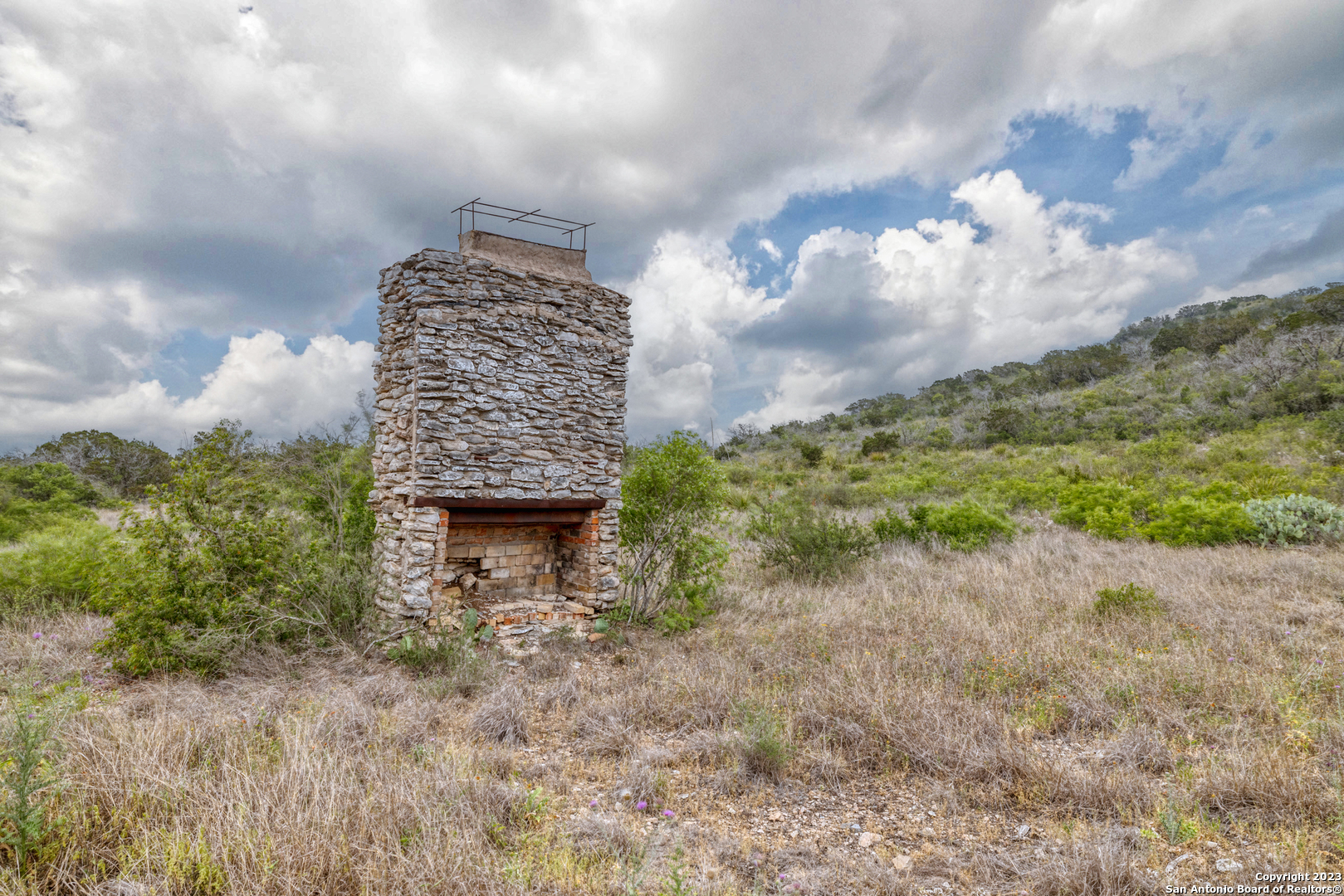 a view of a dry yard with large trees