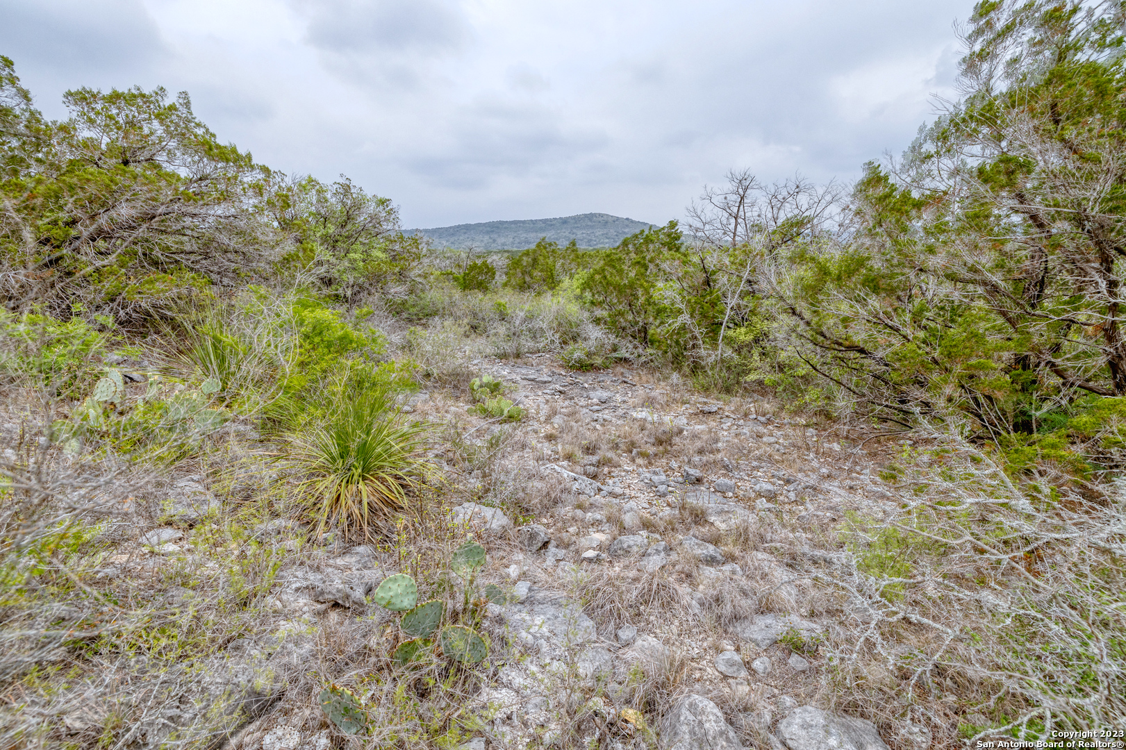 0 Brushy Creek Ranch Road Concan, TX 78838 - Photo 13 of 27 a view of a big yard with large trees