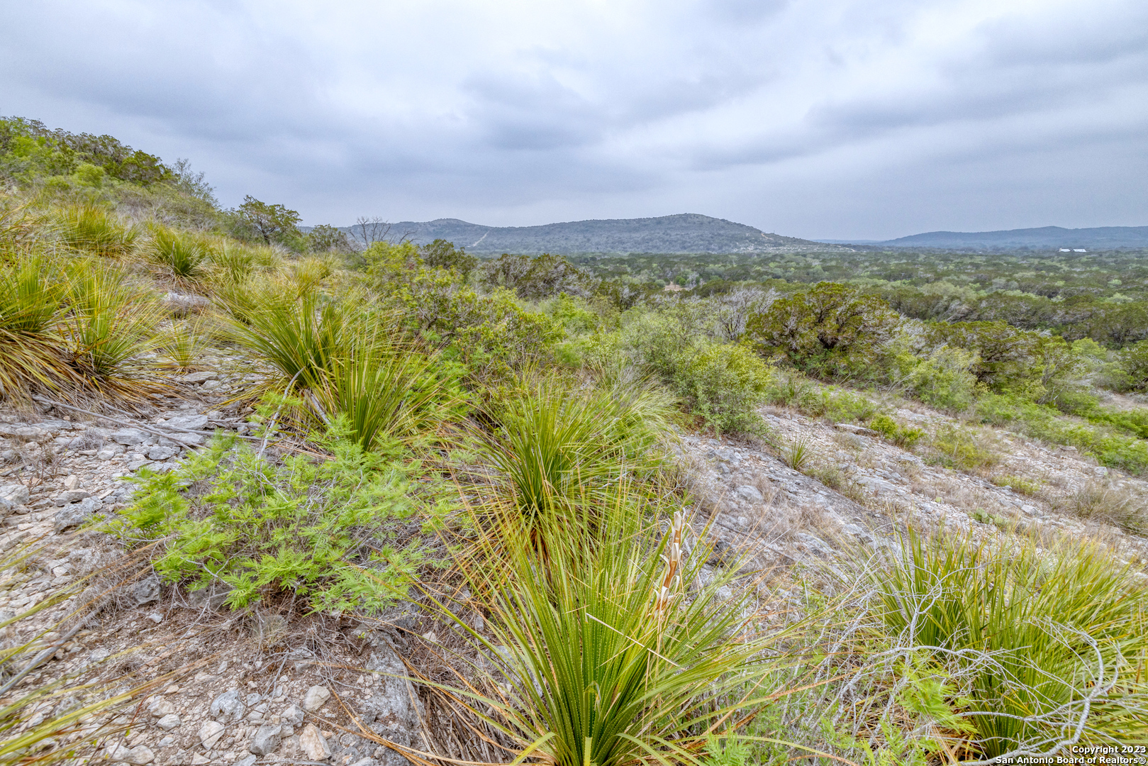 0 Brushy Creek Ranch Road Concan, TX 78838 - Photo 15 of 27 a view of a city with lush green forest