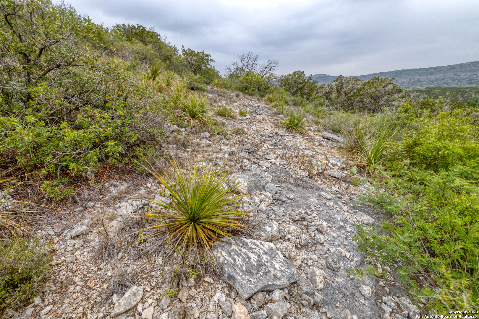 0 Brushy Creek Ranch Road Concan, TX 78838 - Photo 16 of 27 a view of a garden with plants and a small yard