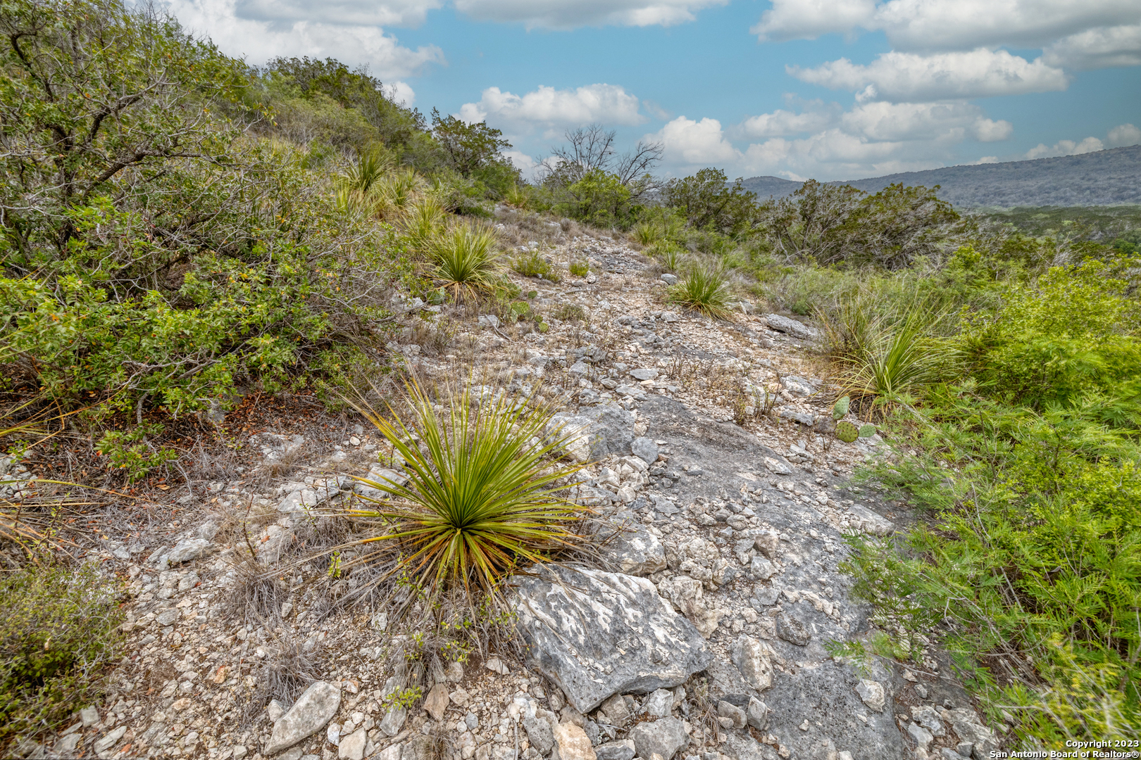 0 Brushy Creek Ranch Road Concan, TX 78838 - Photo 10 of 27 a view of a yard with plants and large trees