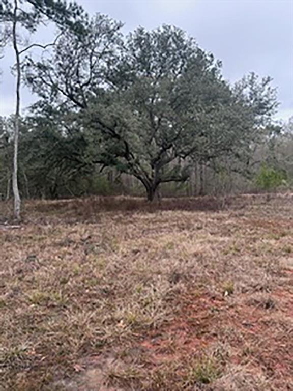 Tract Jb-4 George White Road Holden, LA 70744 - Photo 1 of 11