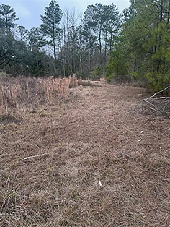 Tract Jb-4 George White Road Holden, LA 70744 - Photo 2 of 11