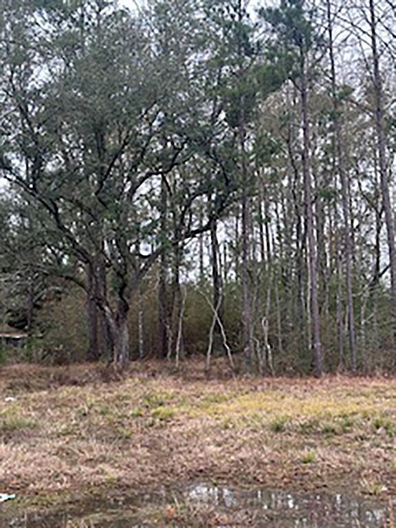 Tract Jb-4 George White Road Holden, LA 70744 - Photo 3 of 11
