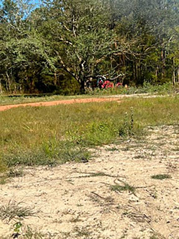 Tract Jb-4 George White Road Holden, LA 70744 - Photo 4 of 11