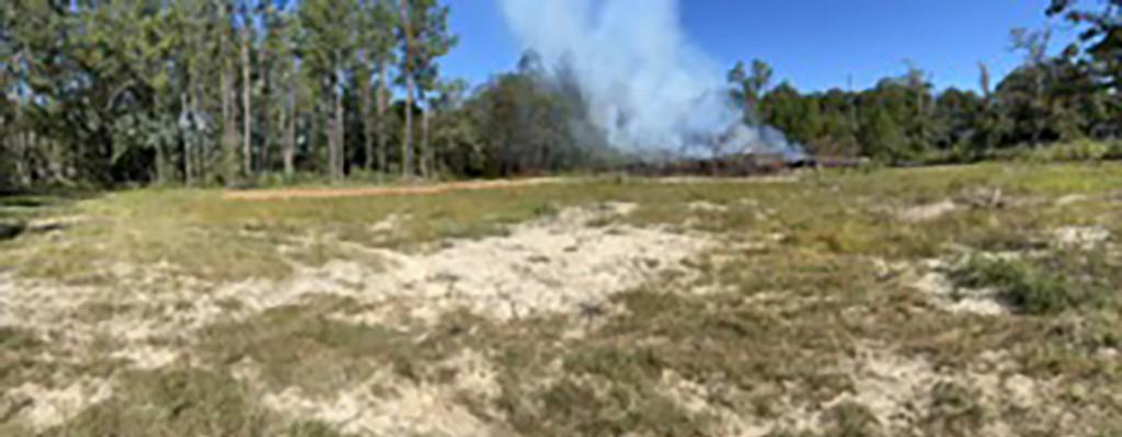 Tract Jb-4 George White Road Holden, LA 70744 - Photo 5 of 11