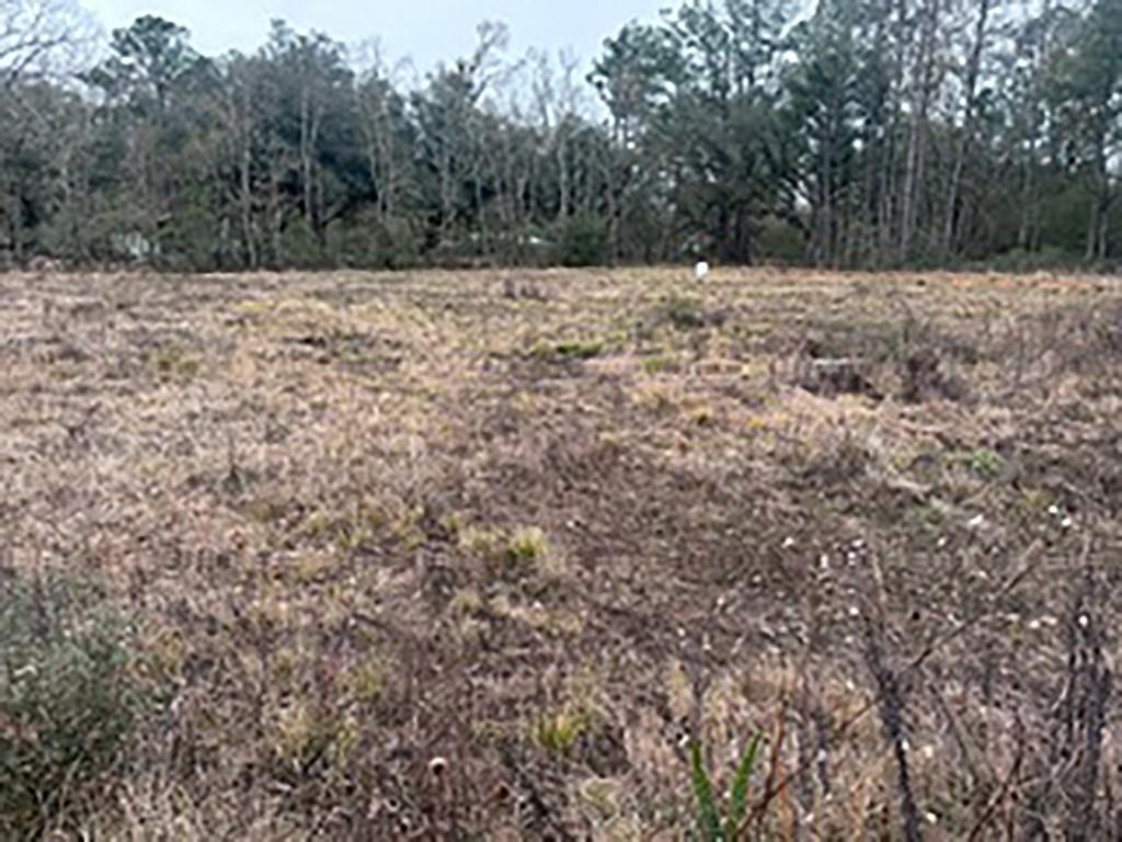 Tract Jb-4 George White Road Holden, LA 70744 - Photo 6 of 11