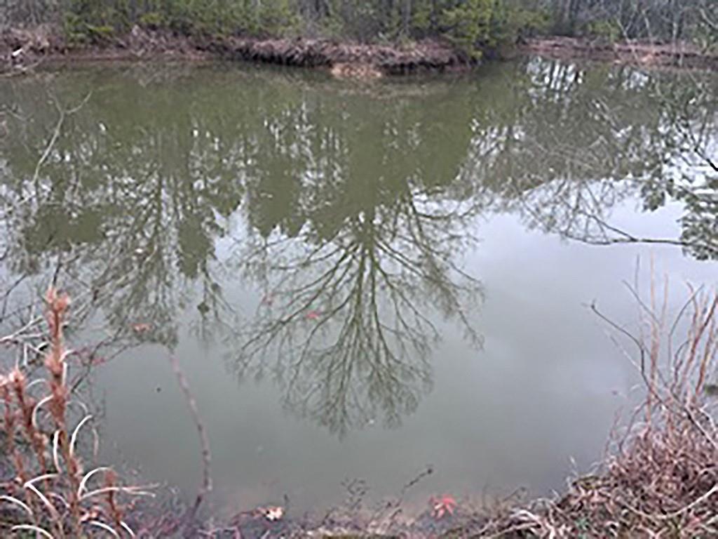 Tract Jb-4 George White Road Holden, LA 70744 - Photo 7 of 11