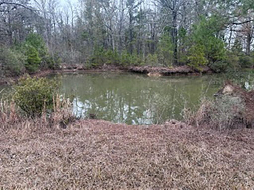 Tract Jb-4 George White Road Holden, LA 70744 - Photo 8 of 11