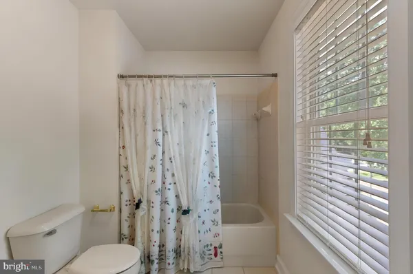 a bathroom with a shower and a toilet
