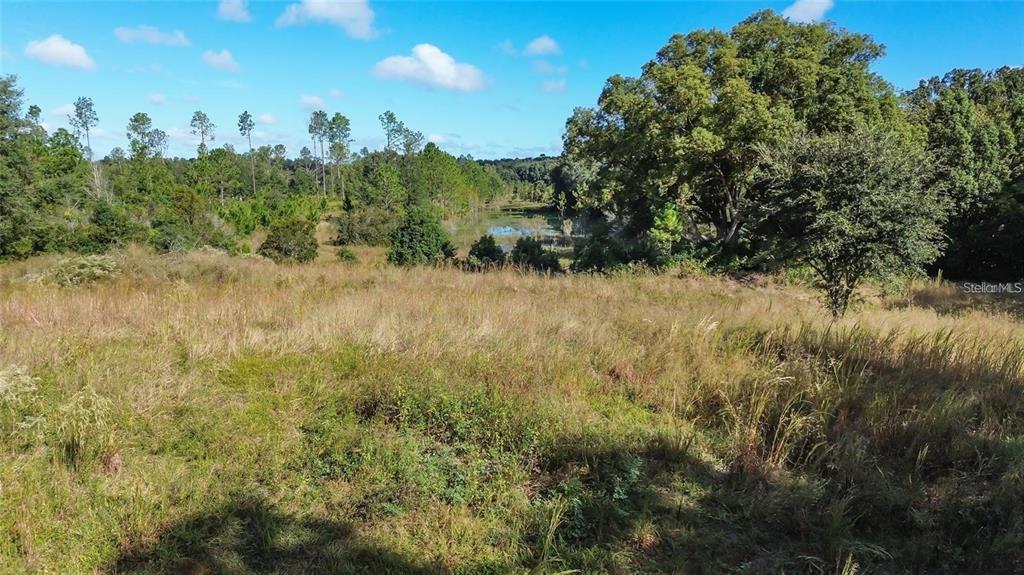 Tree Frog Lane Eustis, FL 32736 - Photo 17 of 19 Gallery Image 17