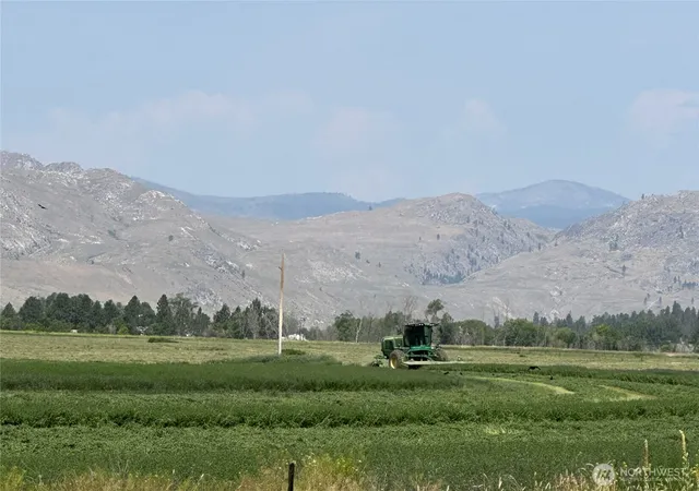 a view of grassy field with mountain