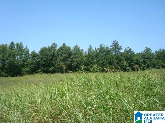 0 Dabbs Road, Unit 19 & 20 Oxford, AL 36203 - Photo 18 of 33