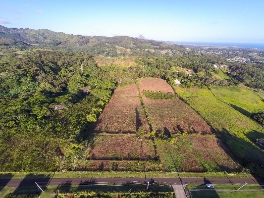 Kikala Road, Unit 2 Kalaheo, HI 96741 - Photo 1 of 9 Gallery Image 1