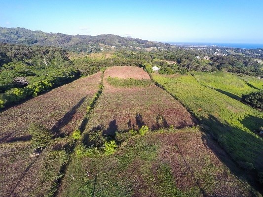 Kikala Road, Unit 2 Kalaheo, HI 96741 - Photo 6 of 9 Gallery Image 6