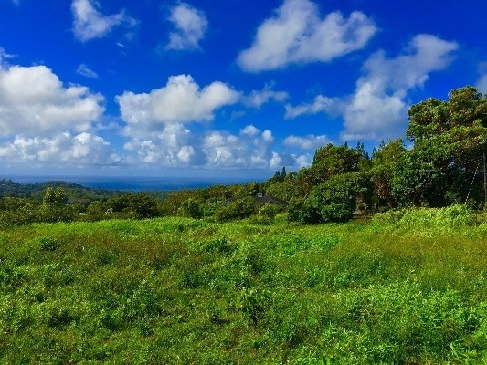 Kikala Road, Unit 2 Kalaheo, HI 96741 - Photo 8 of 9 Gallery Image 8