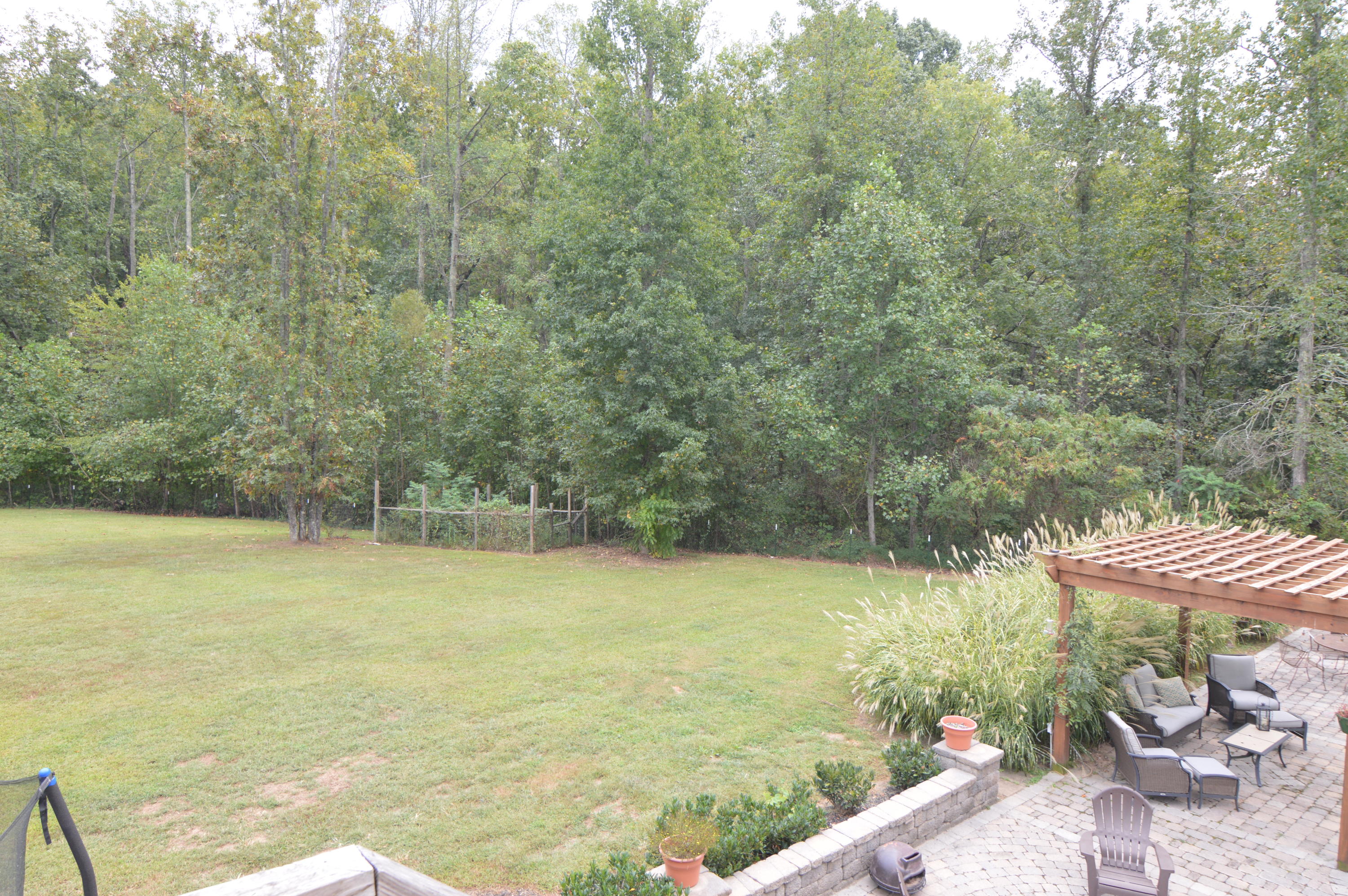 239 Long Road Kingston, TN 37763 - Photo 29 of 31 Back Yard