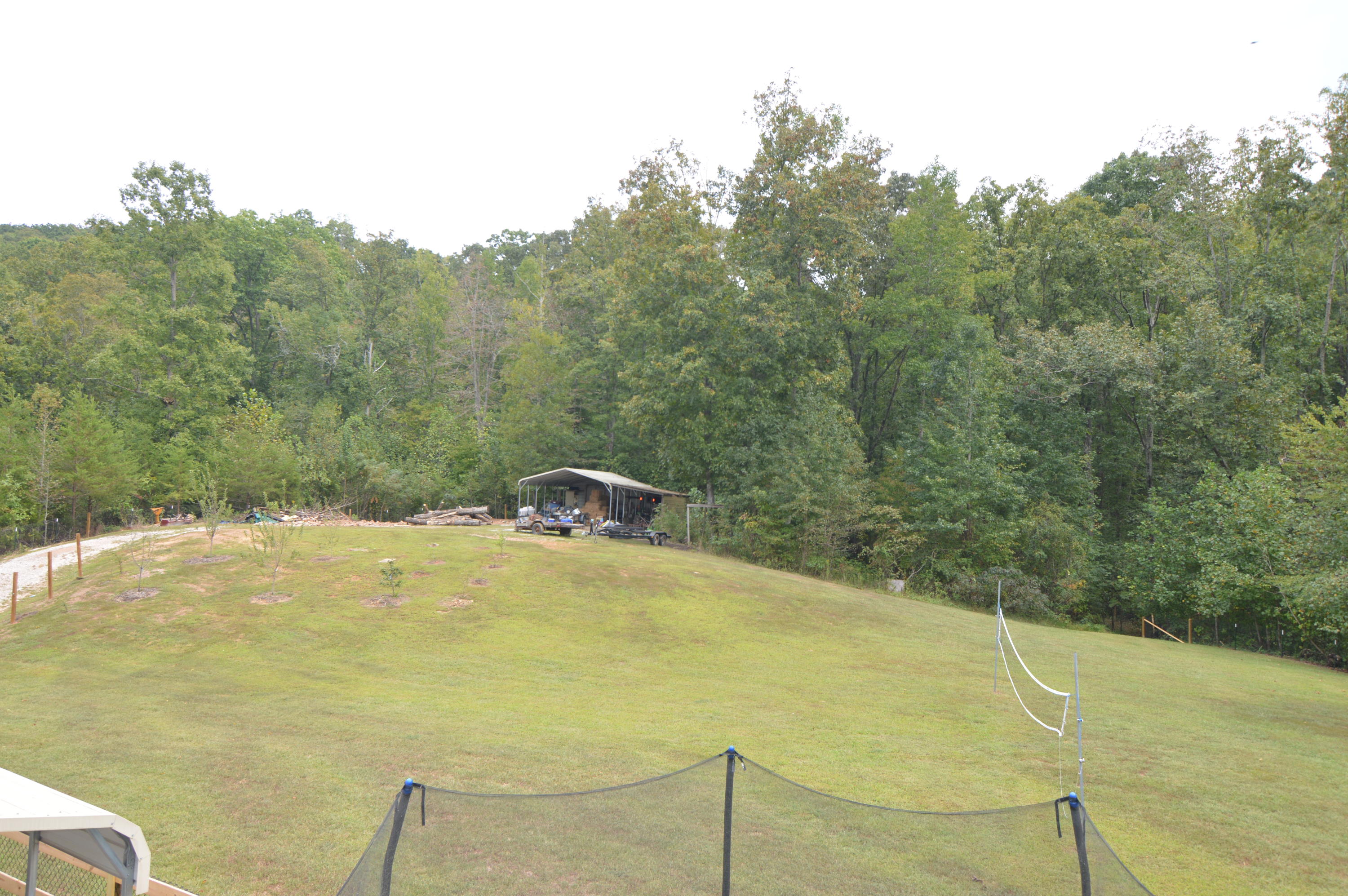239 Long Road Kingston, TN 37763 - Photo 30 of 31 Back Yard
