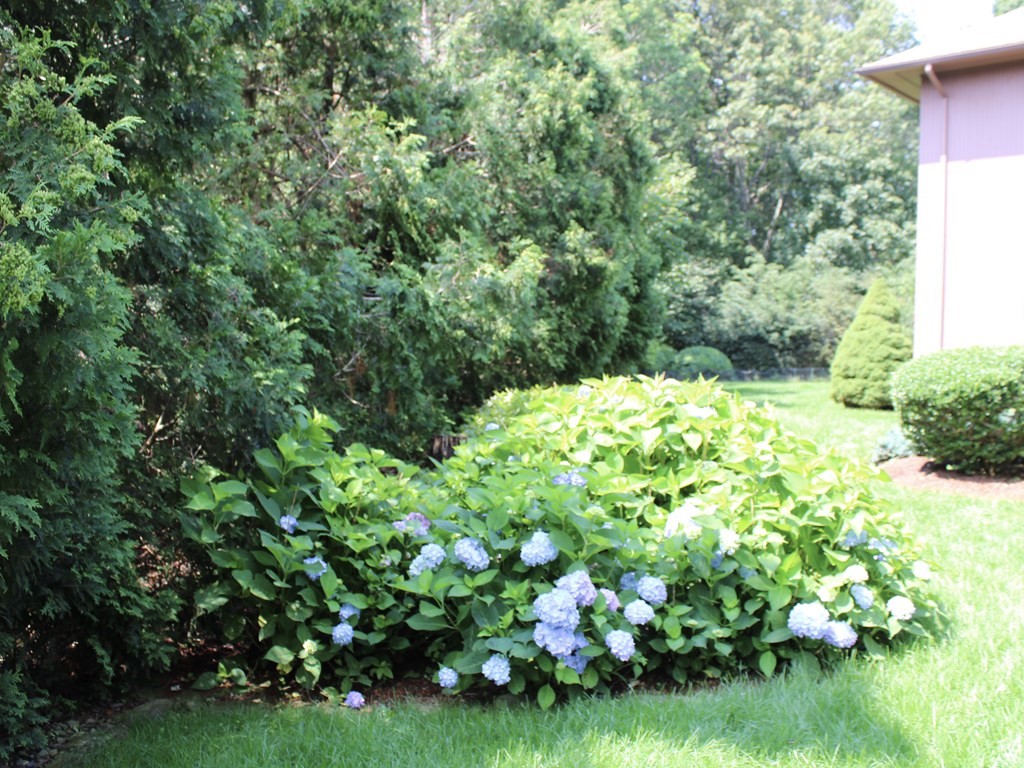 44 Whisper Drive Worcester, MA 01609 - Photo 38 of 40 a backyard of a house with lots of green space