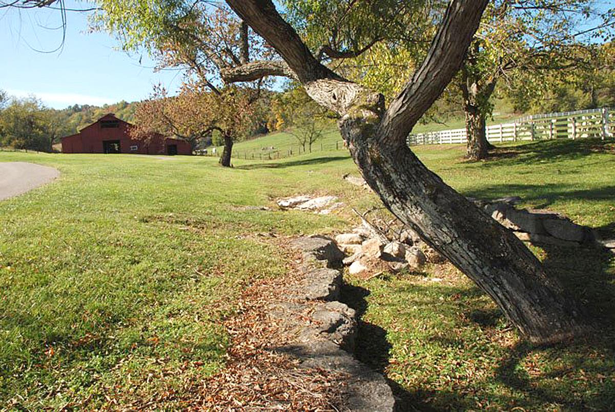 2131 Allisona Road Eagleville, TN 37046 - Photo 6 of 22 Gallery Image 6