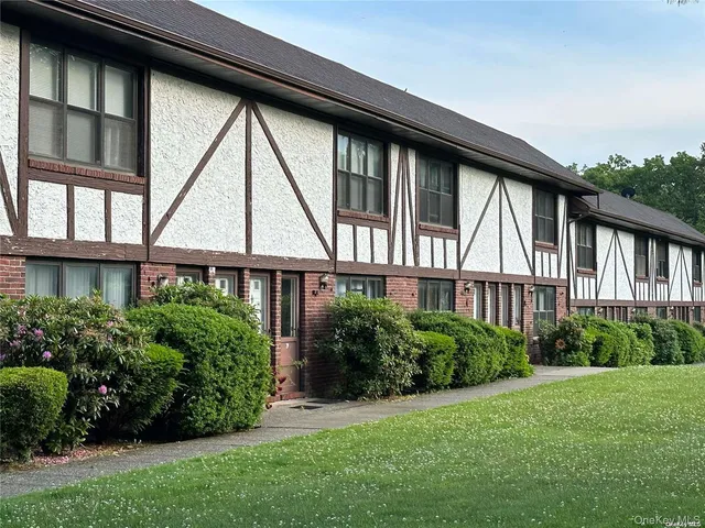 a view of a backyard with plants and large trees