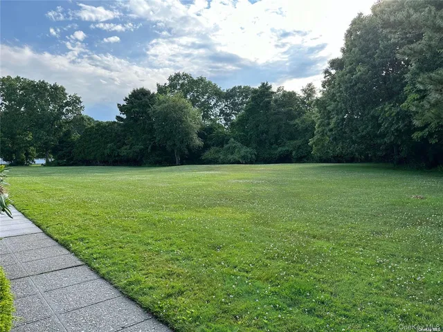 a view of a grassy field with trees in the background