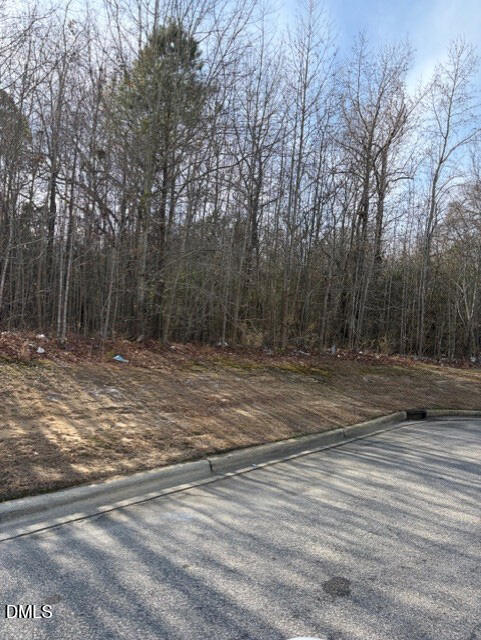 206 Hope Street Erwin, NC 28339 - Photo 3 of 10