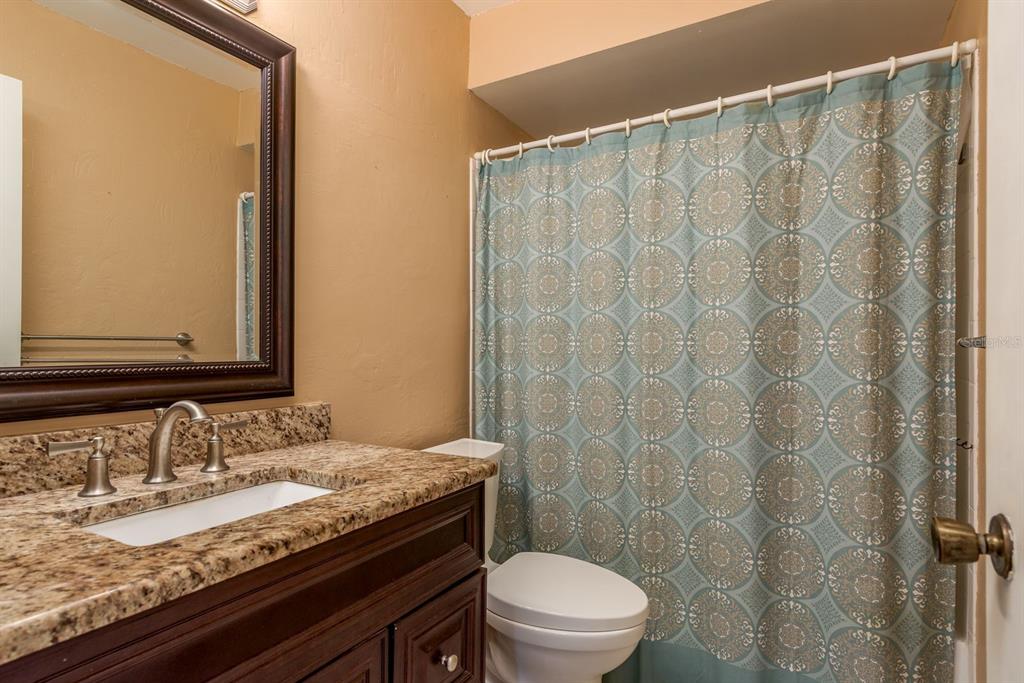 2949 Briar Cliff Drive Palm Harbor, FL 34684 - Photo 24 of 35