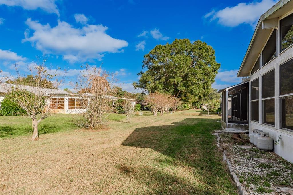 2949 Briar Cliff Drive Palm Harbor, FL 34684 - Photo 34 of 35