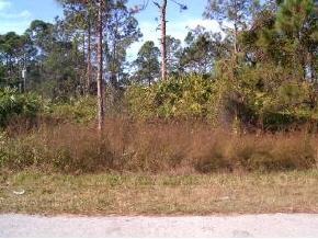 150 Turk Road Southwest, Unit 20 Palm Bay, FL 32908 - Photo 2 of 2 Additional Photo