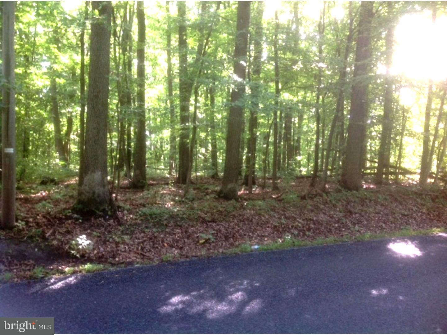 375 Swamp Road Morgantown, PA 19543 - Photo 2 of 5 Gallery Image 2