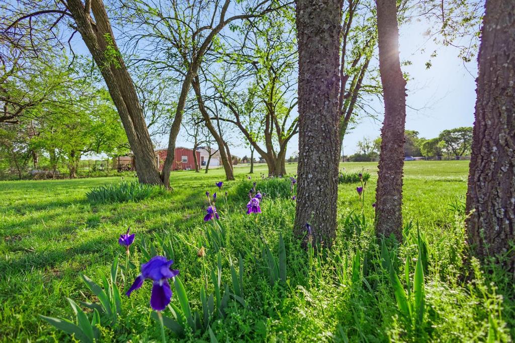 7620 Preston Road Denison, TX 75020 - Photo 7 of 40