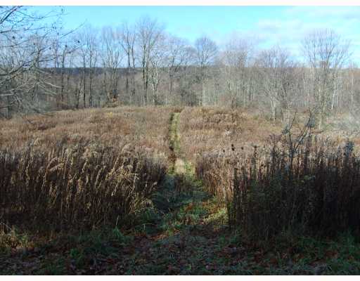 0 Edinboro Plank Road Edinboro, PA 16412 - Photo 3 of 4 Land.