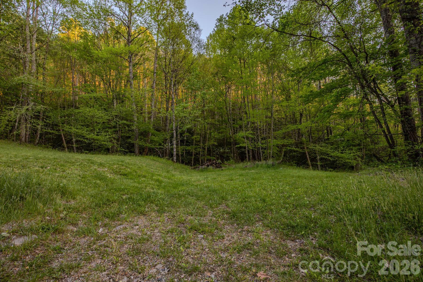 0 Unahala Creek Road Bryson City, NC 28713 - Photo 6 of 14