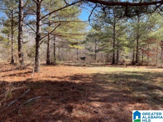 820 County Road, Unit 193 Roanoke, AL 36274 - Photo 6 of 15