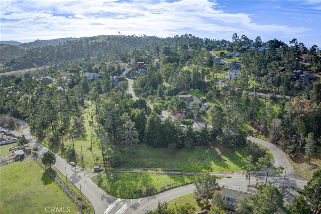 1981 Green Street Cambria, CA 93428 - Photo 7 of 16 an aerial view of residential houses with outdoor space